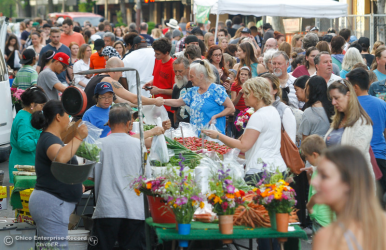 Views of Chico, California