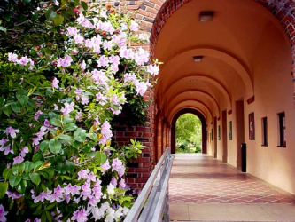 Views of Chico, California