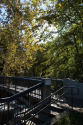 Views of Chico, California