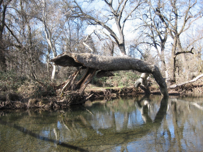 Views of Chico, California