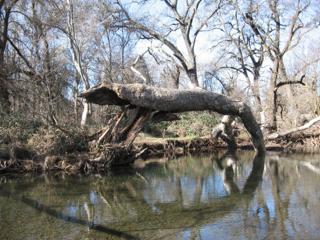 Views of Chico, California