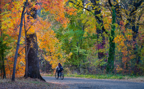 Views of Chico, California