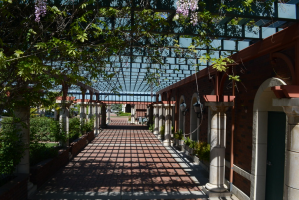 Views of Chico, California