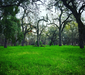 Views of Chico, California