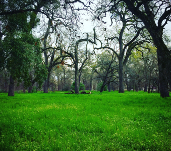 Views of Chico, California