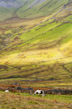 The Brecon Beacons