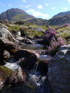 Snowdonia