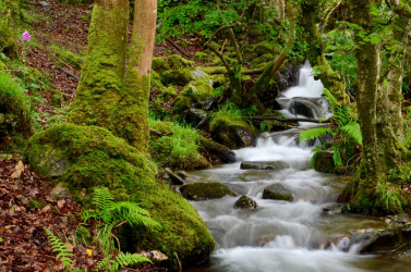 A waterfall