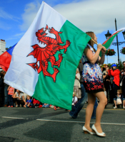 Welsh Flag